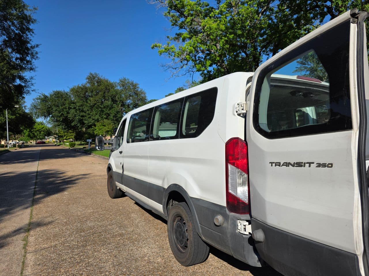 Pet travel photo 1