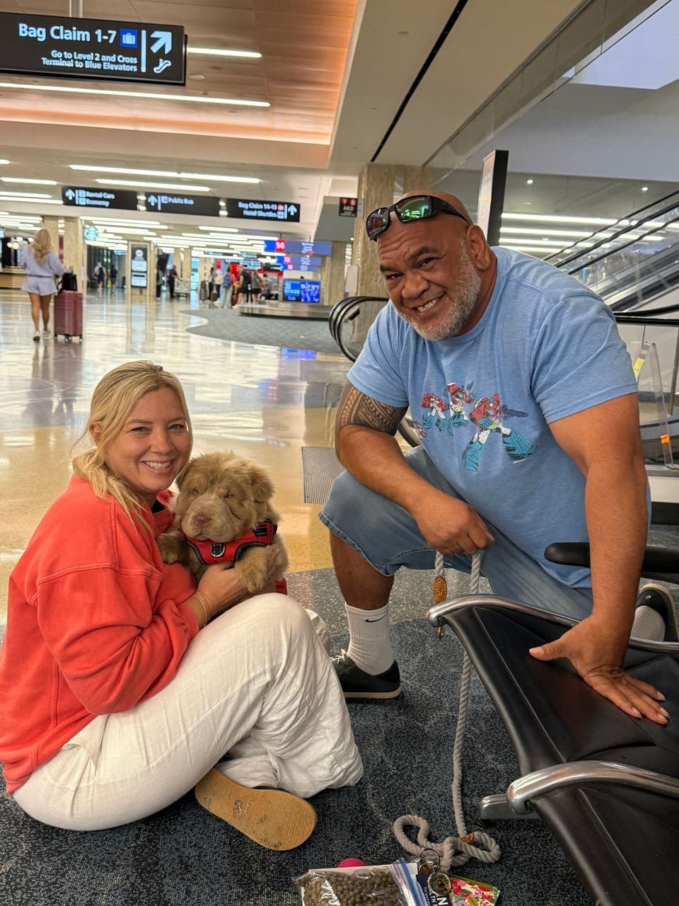 Pet travel photo 3