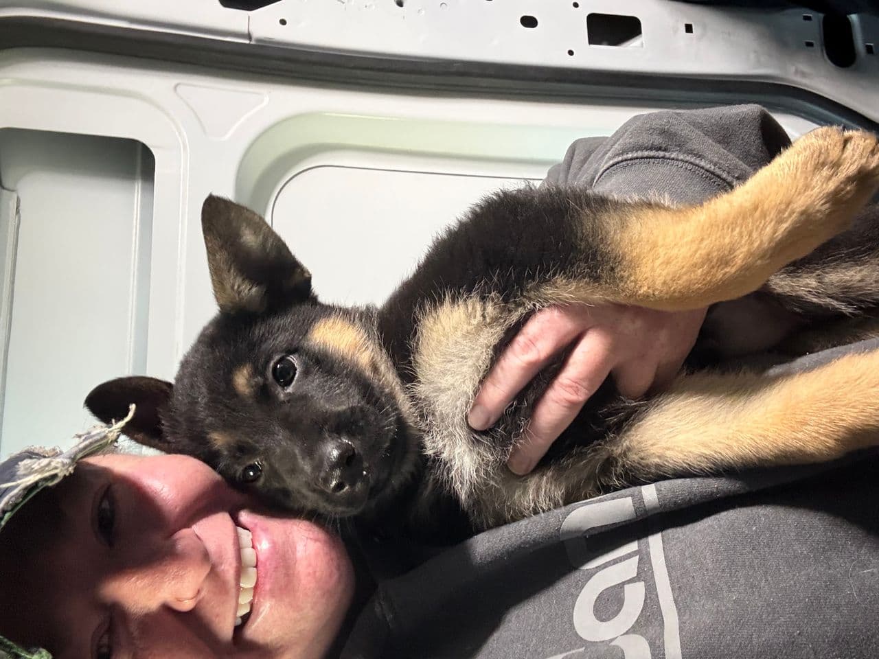 Pet travel photo 5