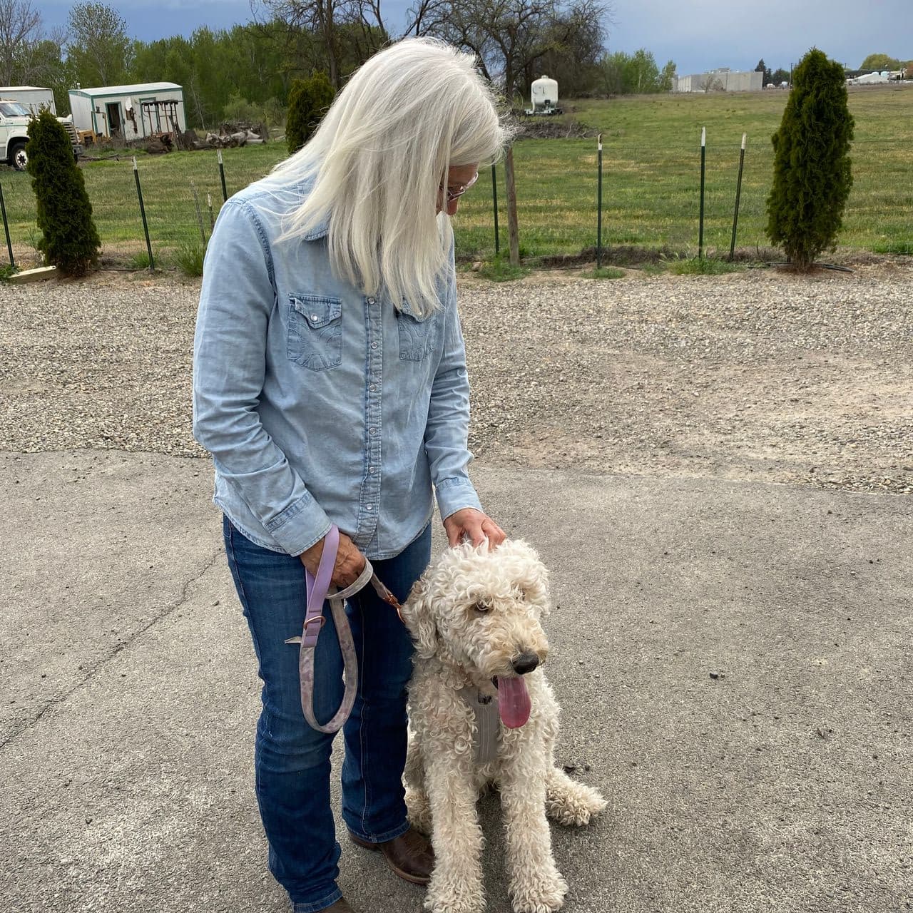 Pet travel photo 6