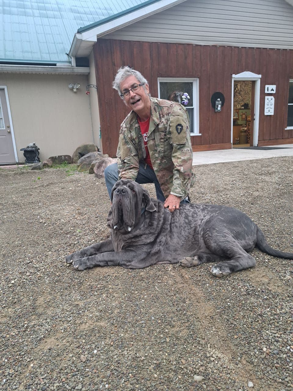 Pet travel photo 5