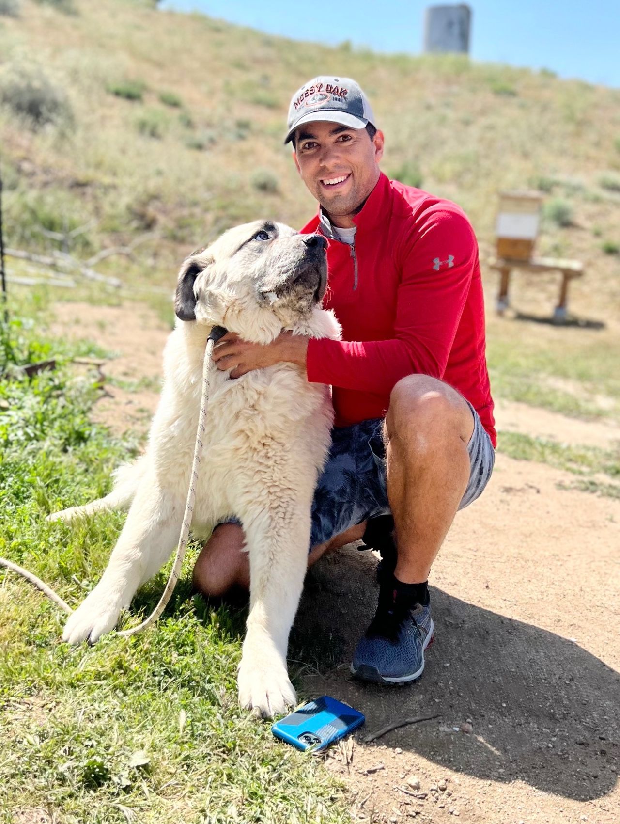 Pet travel photo 4