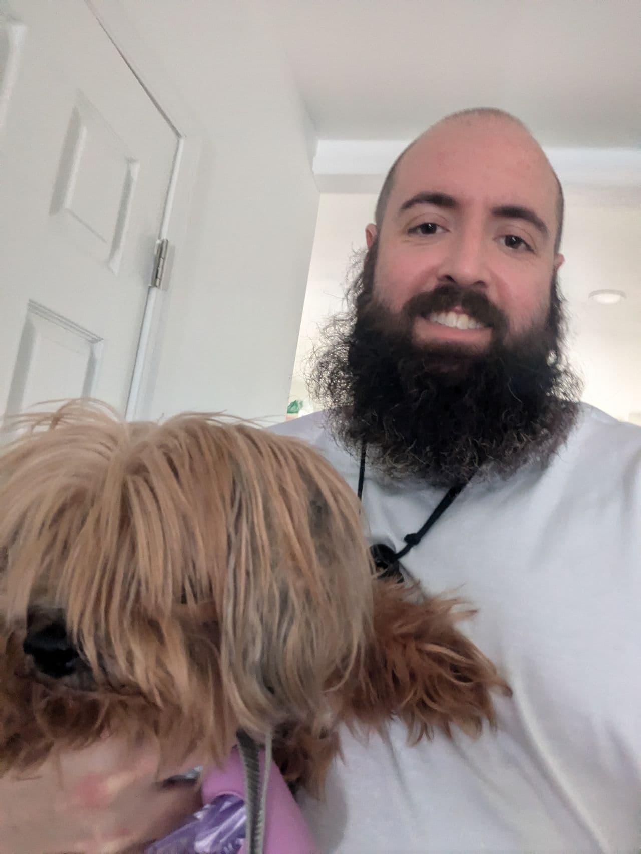 Pet travel photo 2