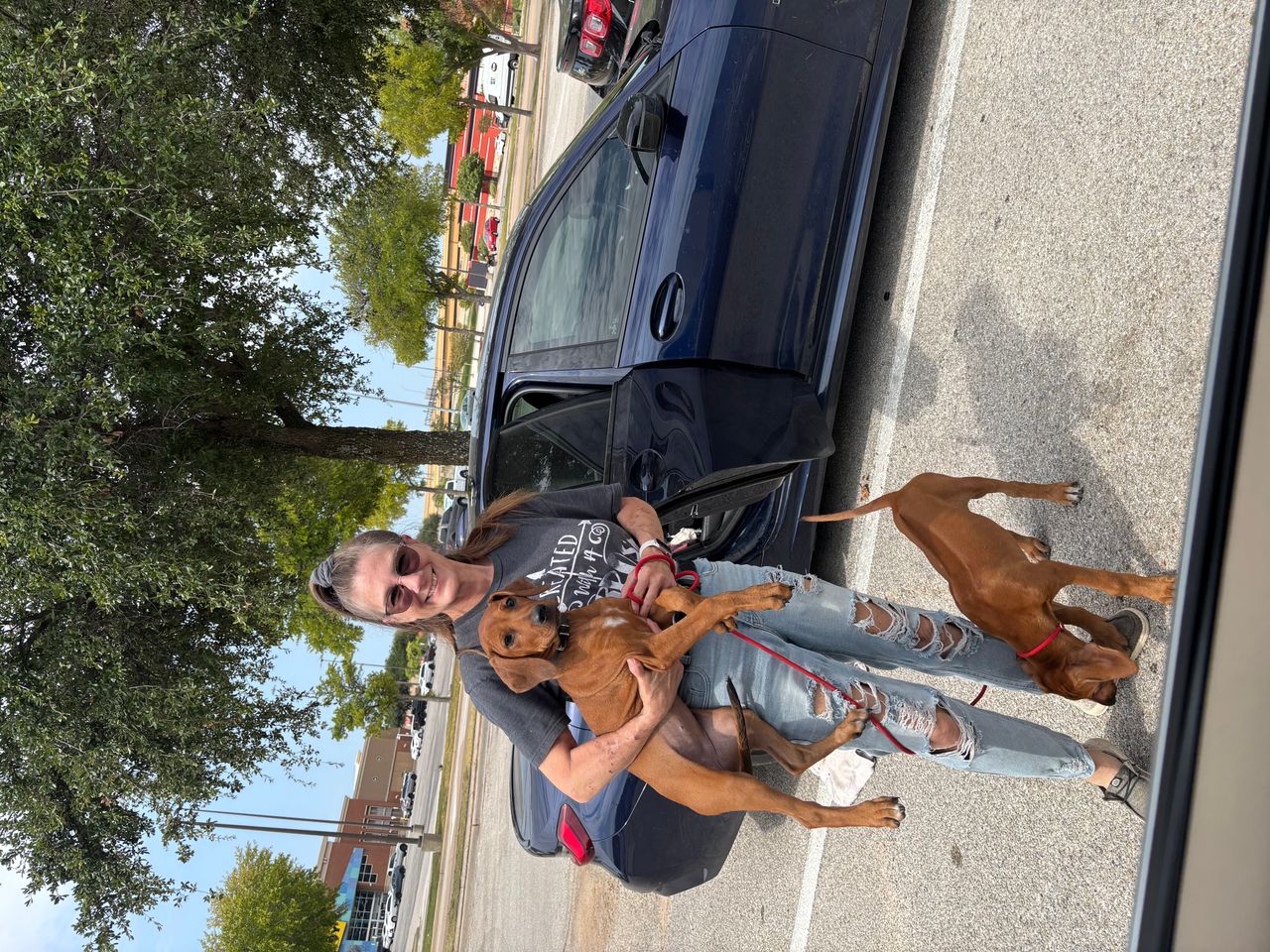 Pet travel photo 1