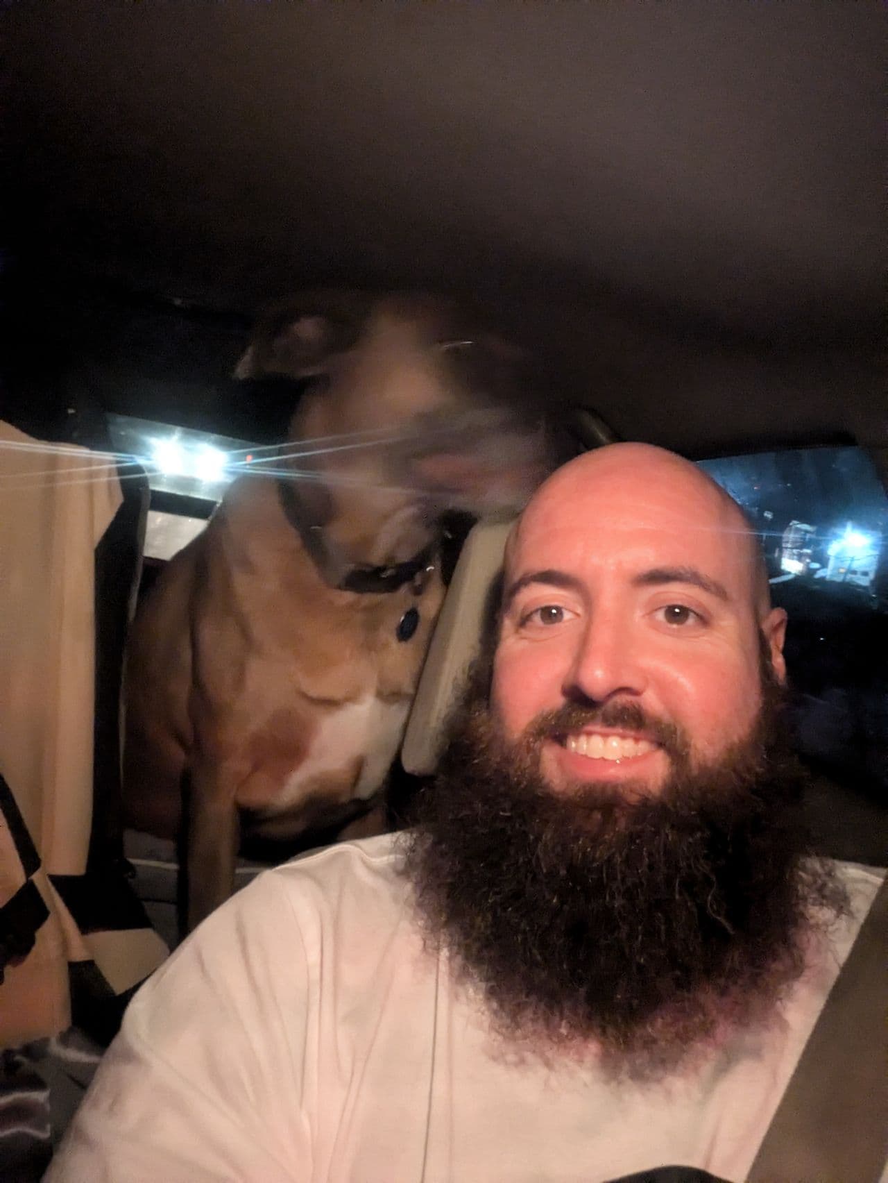 Pet travel photo 1