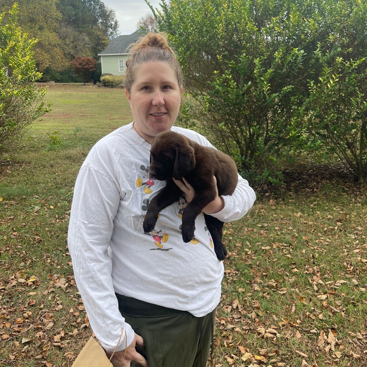 Pet travel photo 3