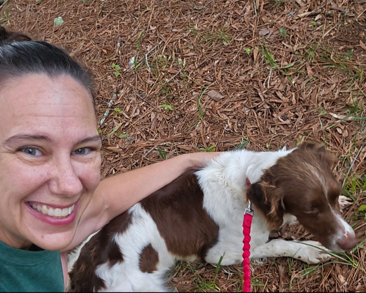 Pet travel photo 1