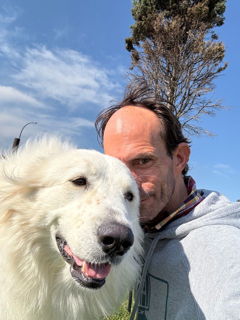 Pet travel photo 2