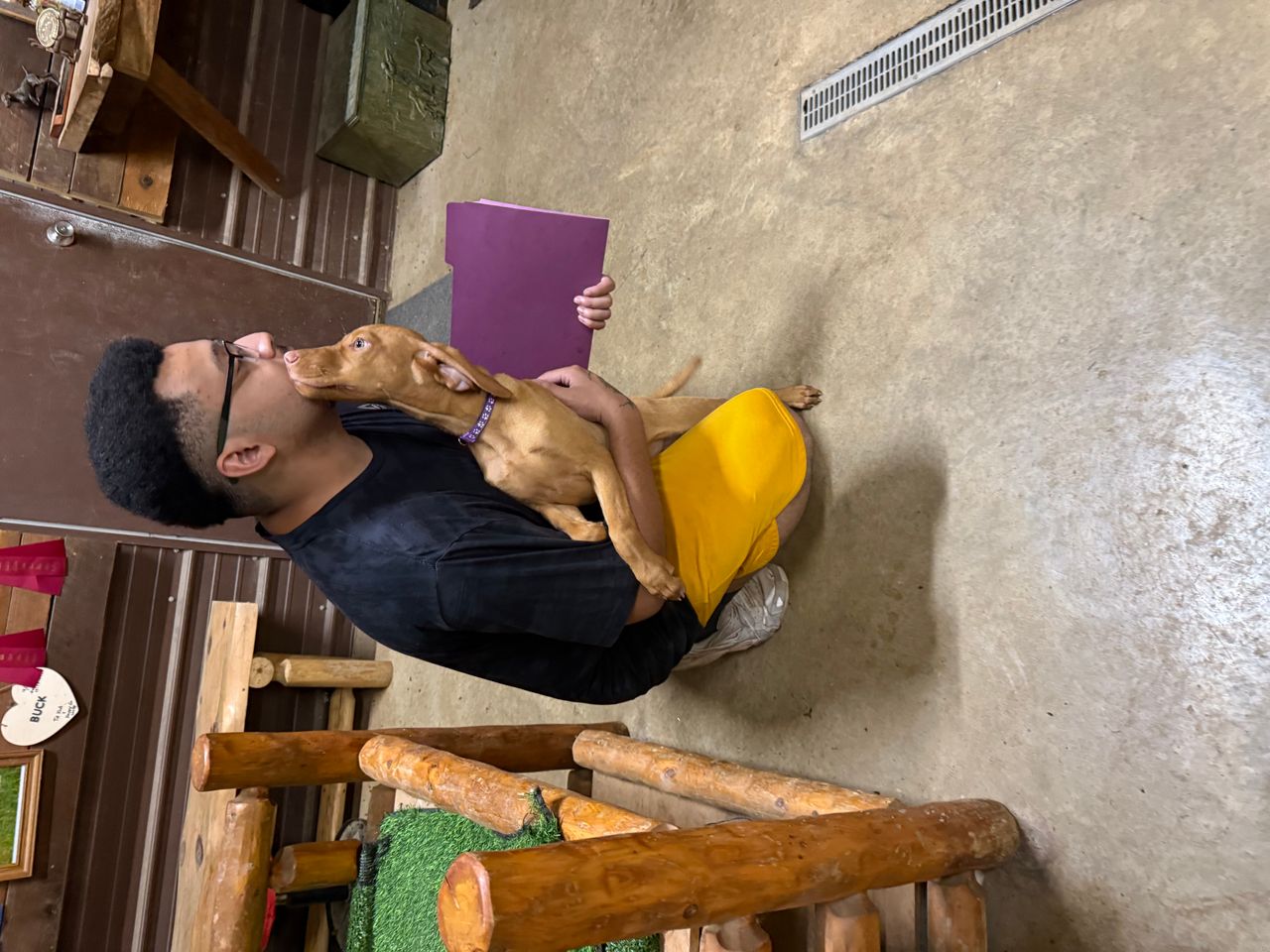 Pet travel photo 4