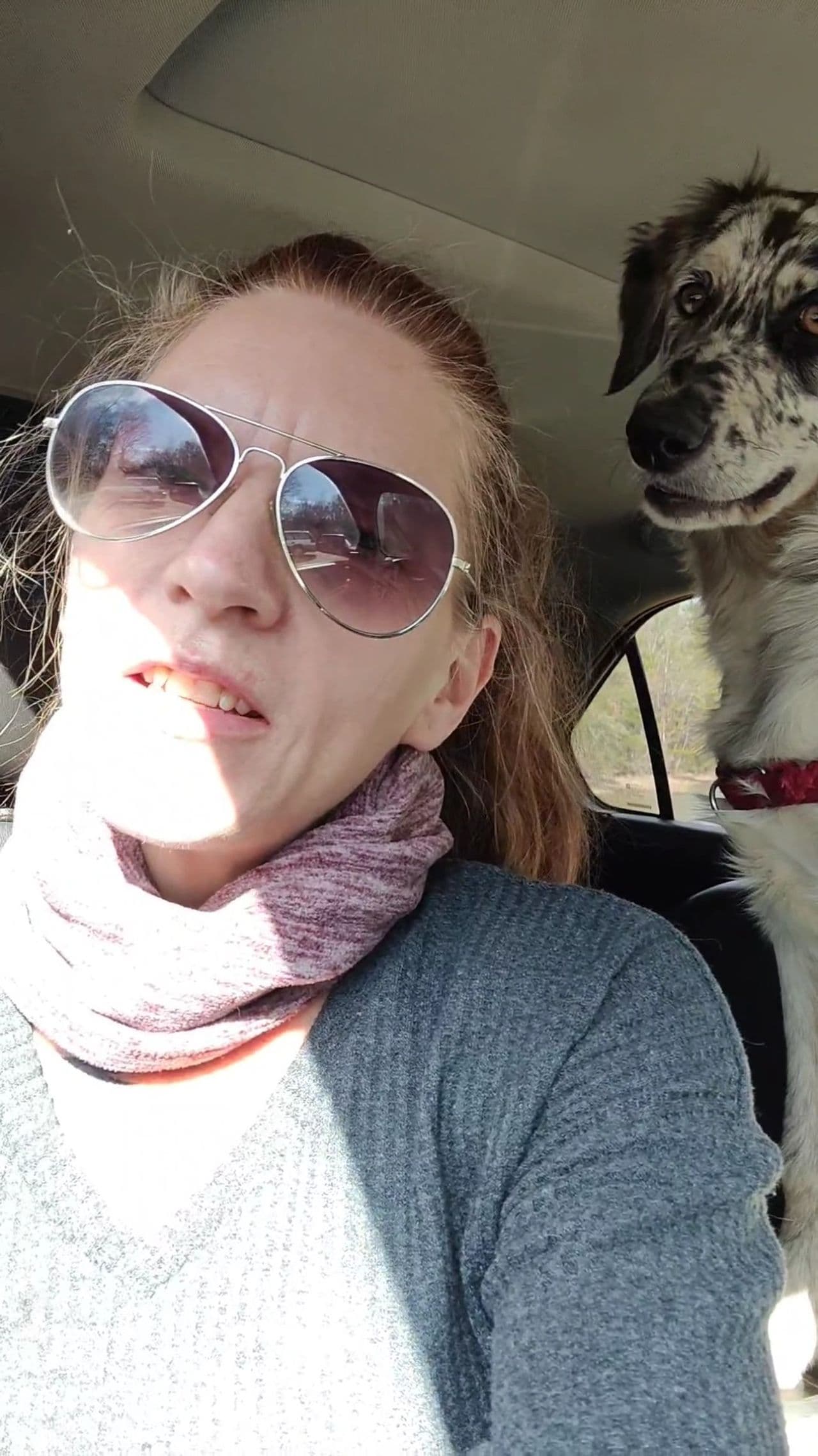 Pet travel photo 6