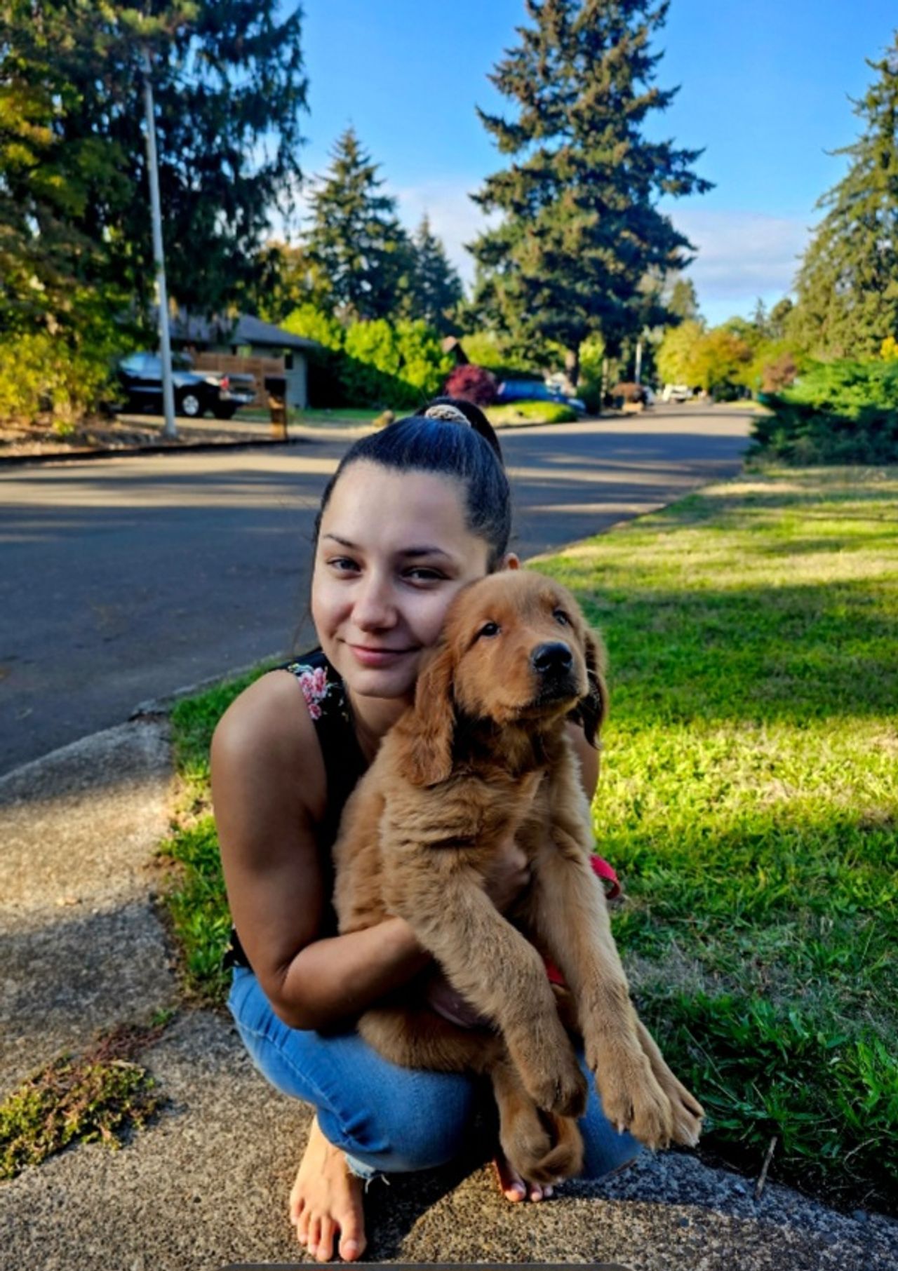 Pet travel photo 2