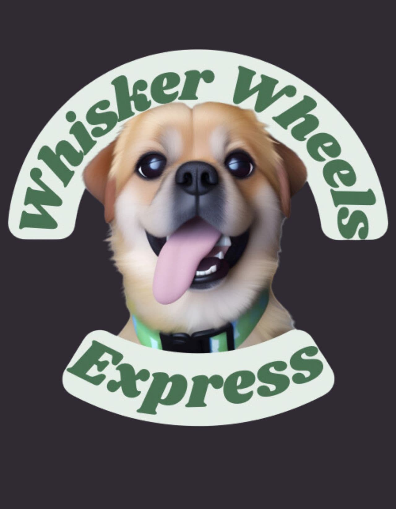 Whisker Wheels Express