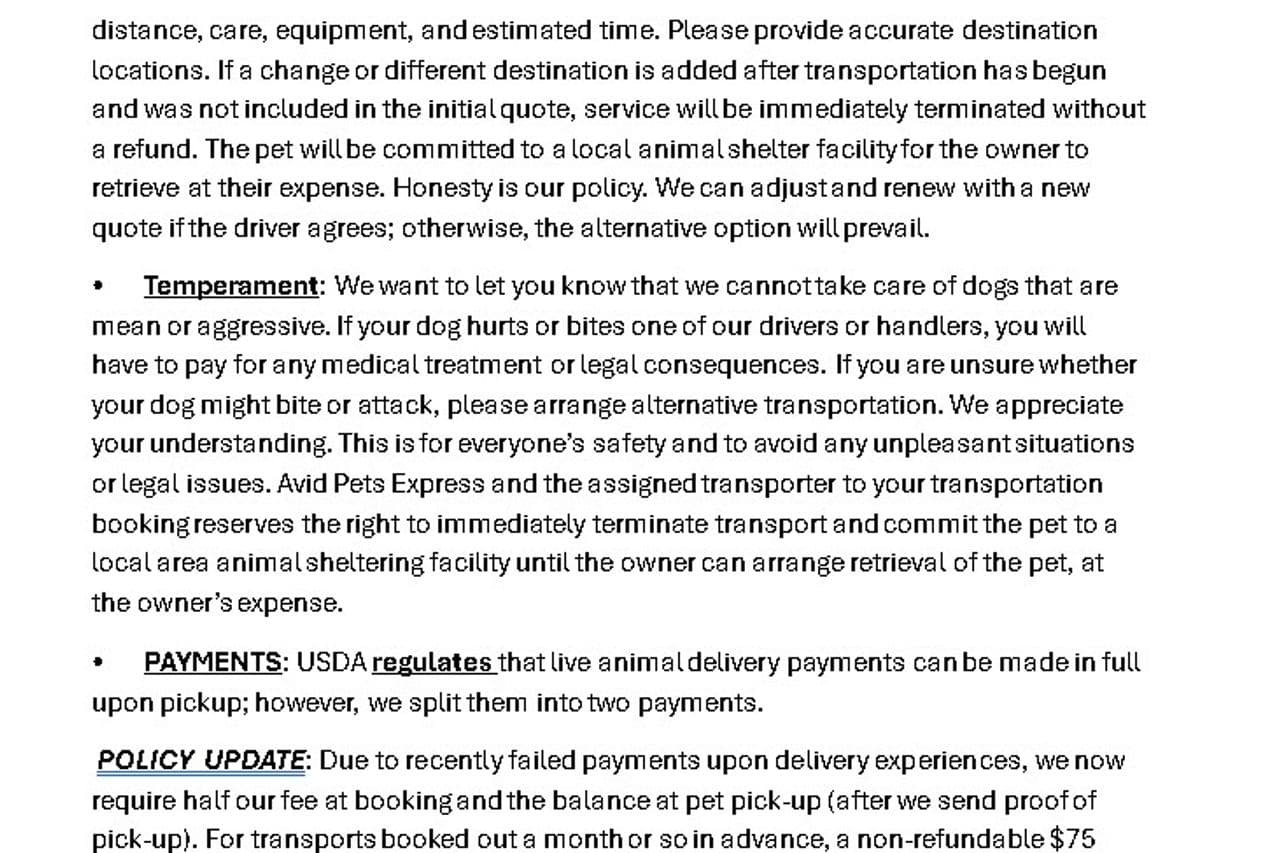 Pet travel photo 6