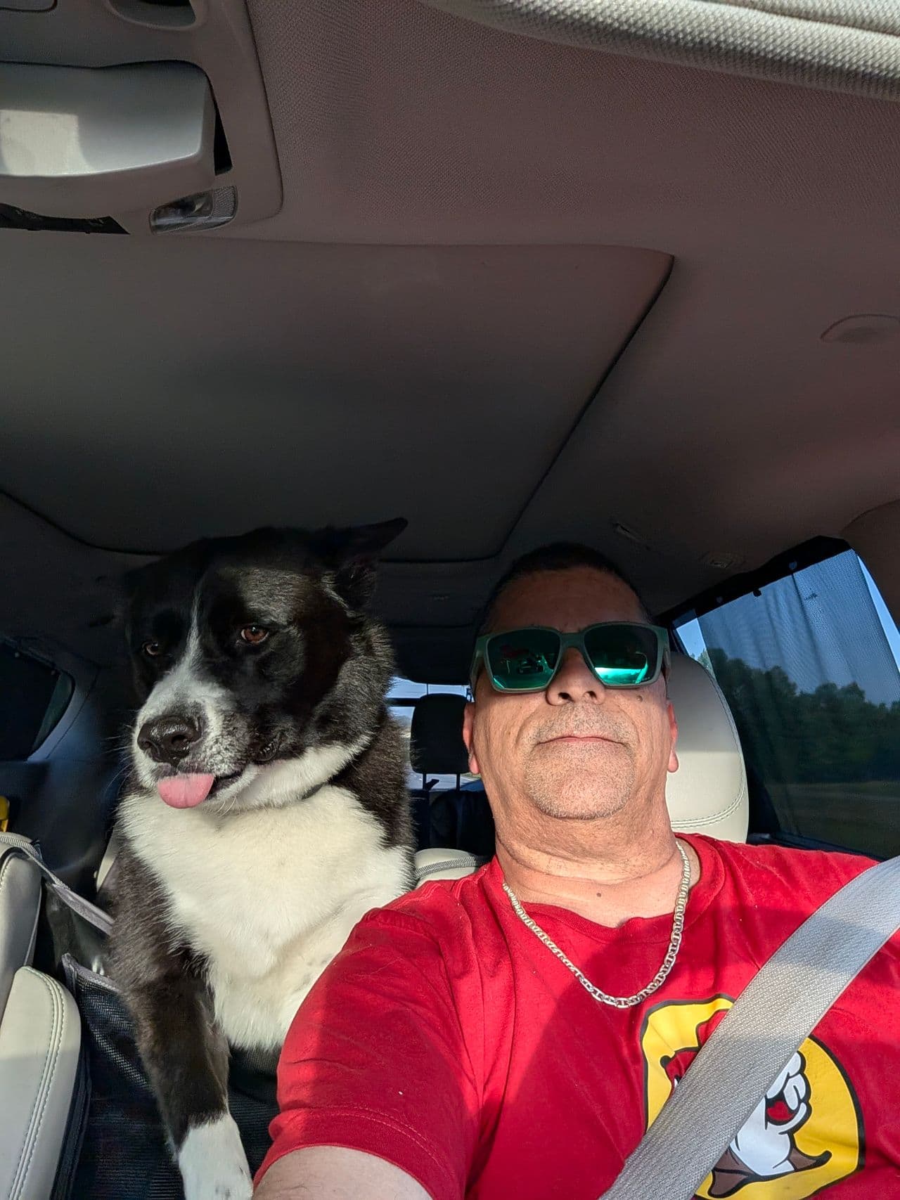 Pet travel photo 4