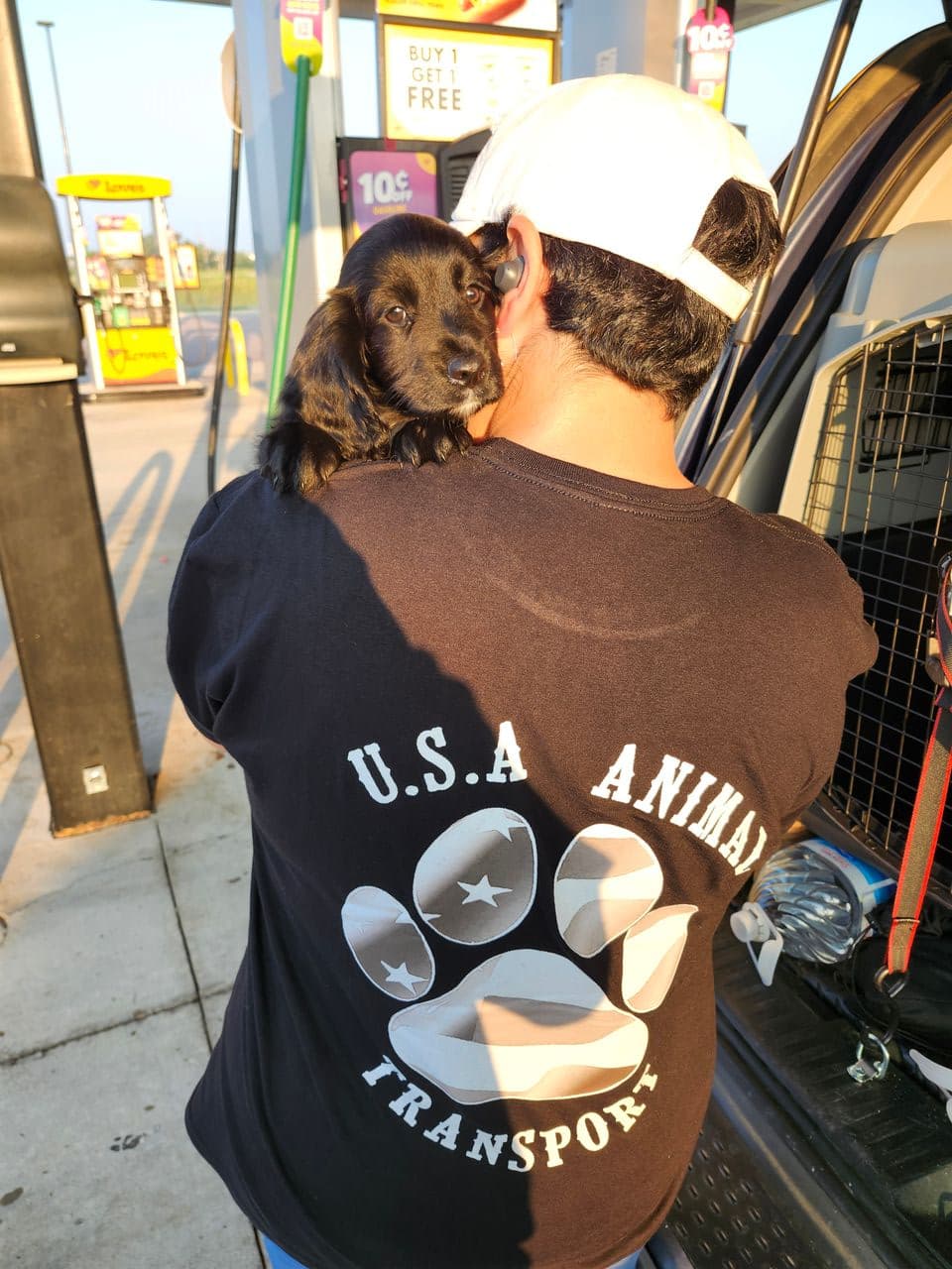 Pet travel photo 4