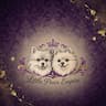 Little Paws Empire