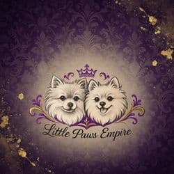 Little Paws Empire 