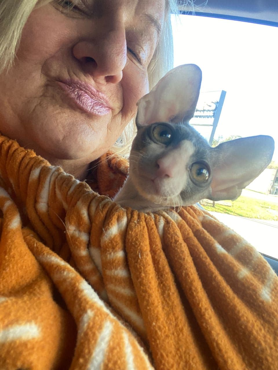 Pet travel photo 2