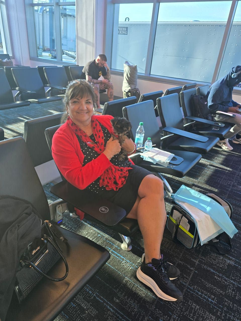 Pet travel photo 4