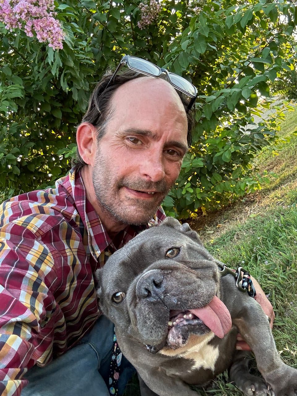 Pet travel photo 1