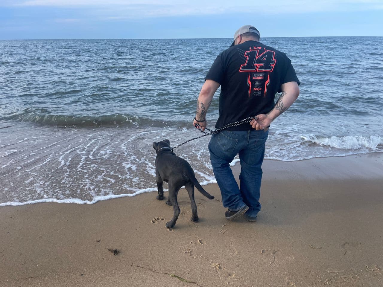 Pet travel photo 4