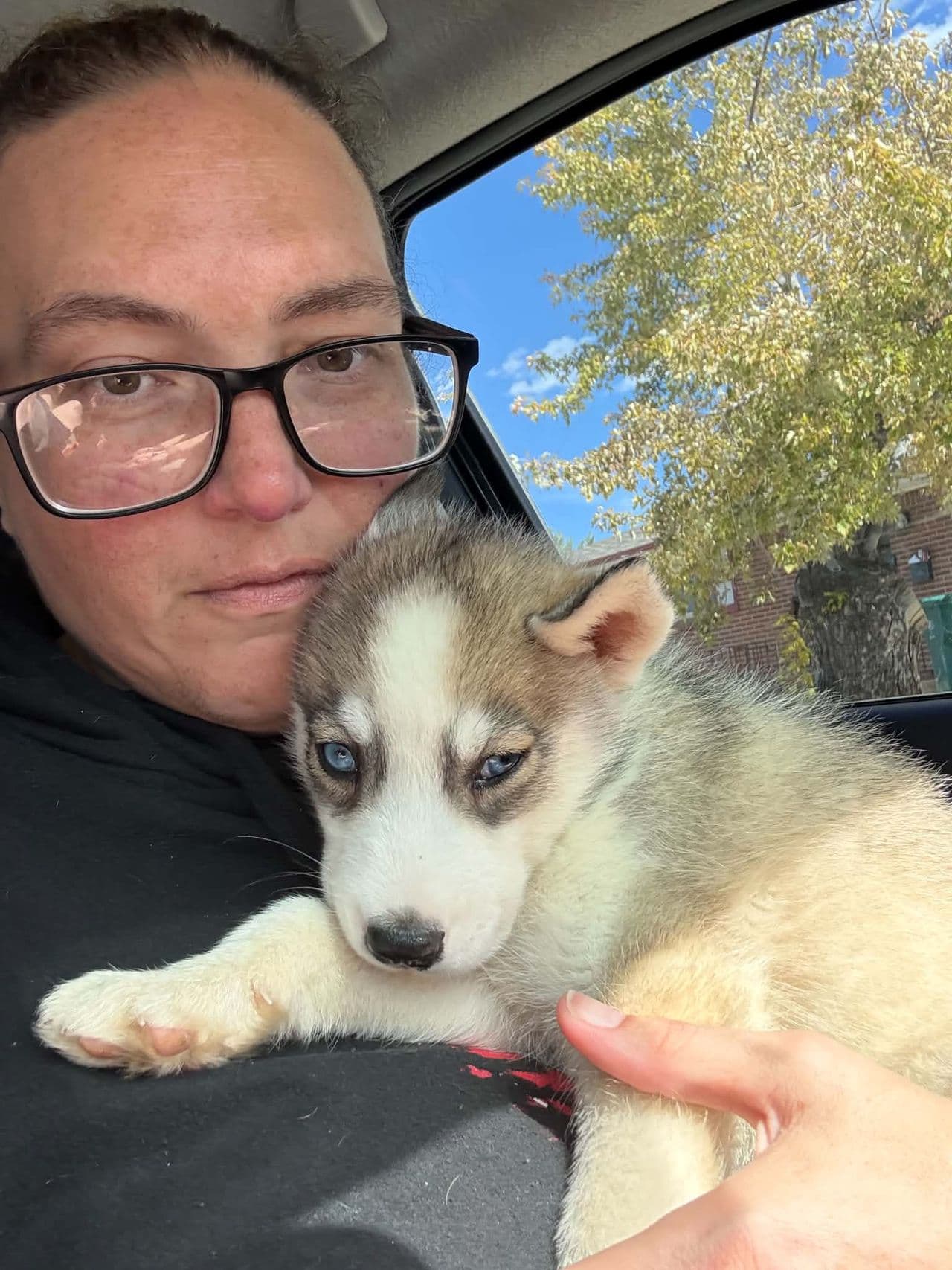Pet travel photo 1