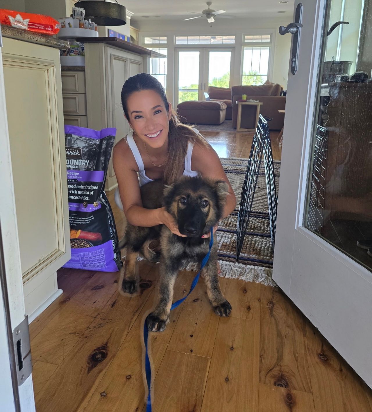 Pet travel photo 4
