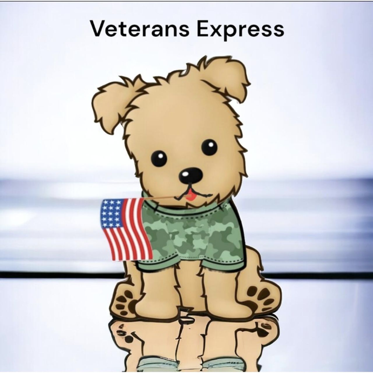 Veterans Express profile photo