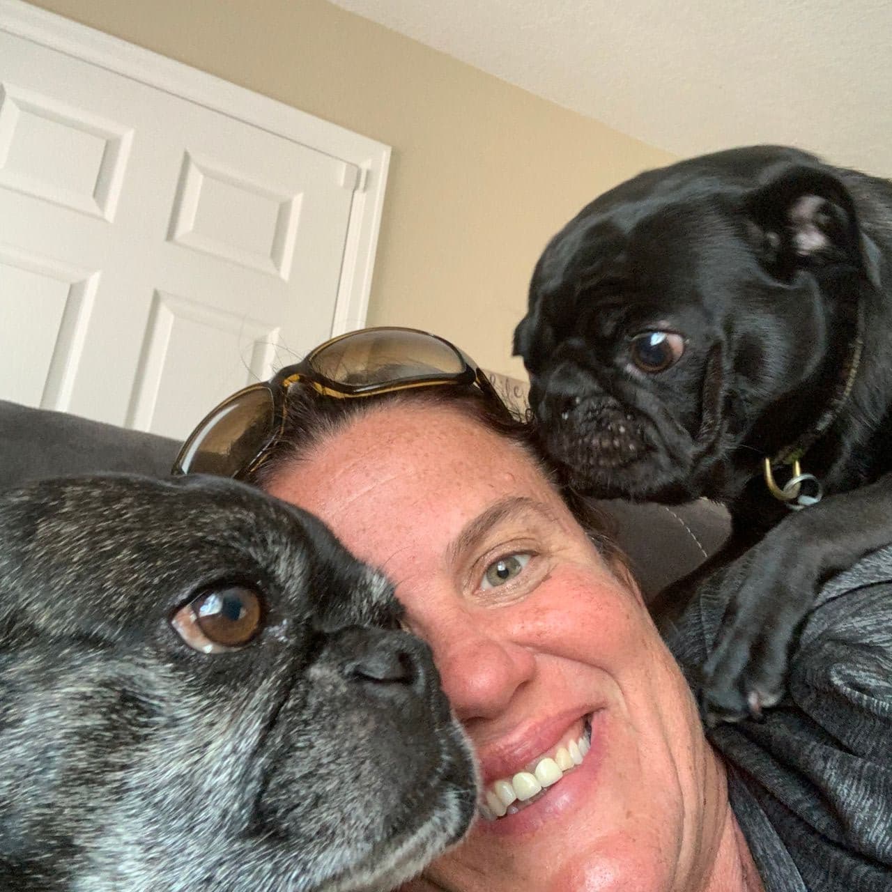 Pet travel photo 6