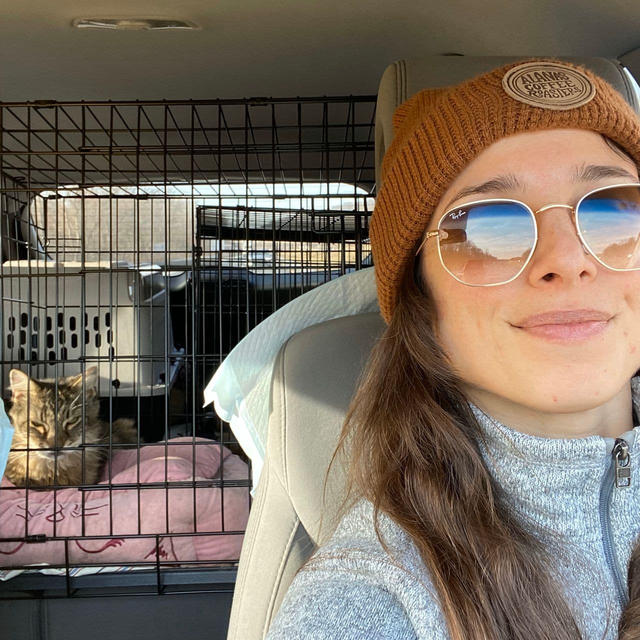 Pet travel photo 1
