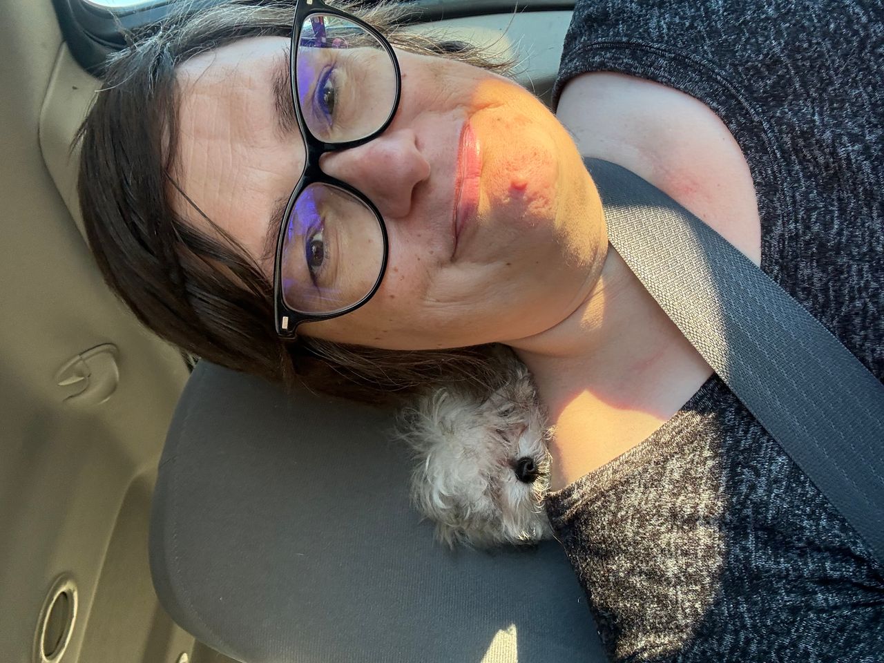 Pet travel photo 6