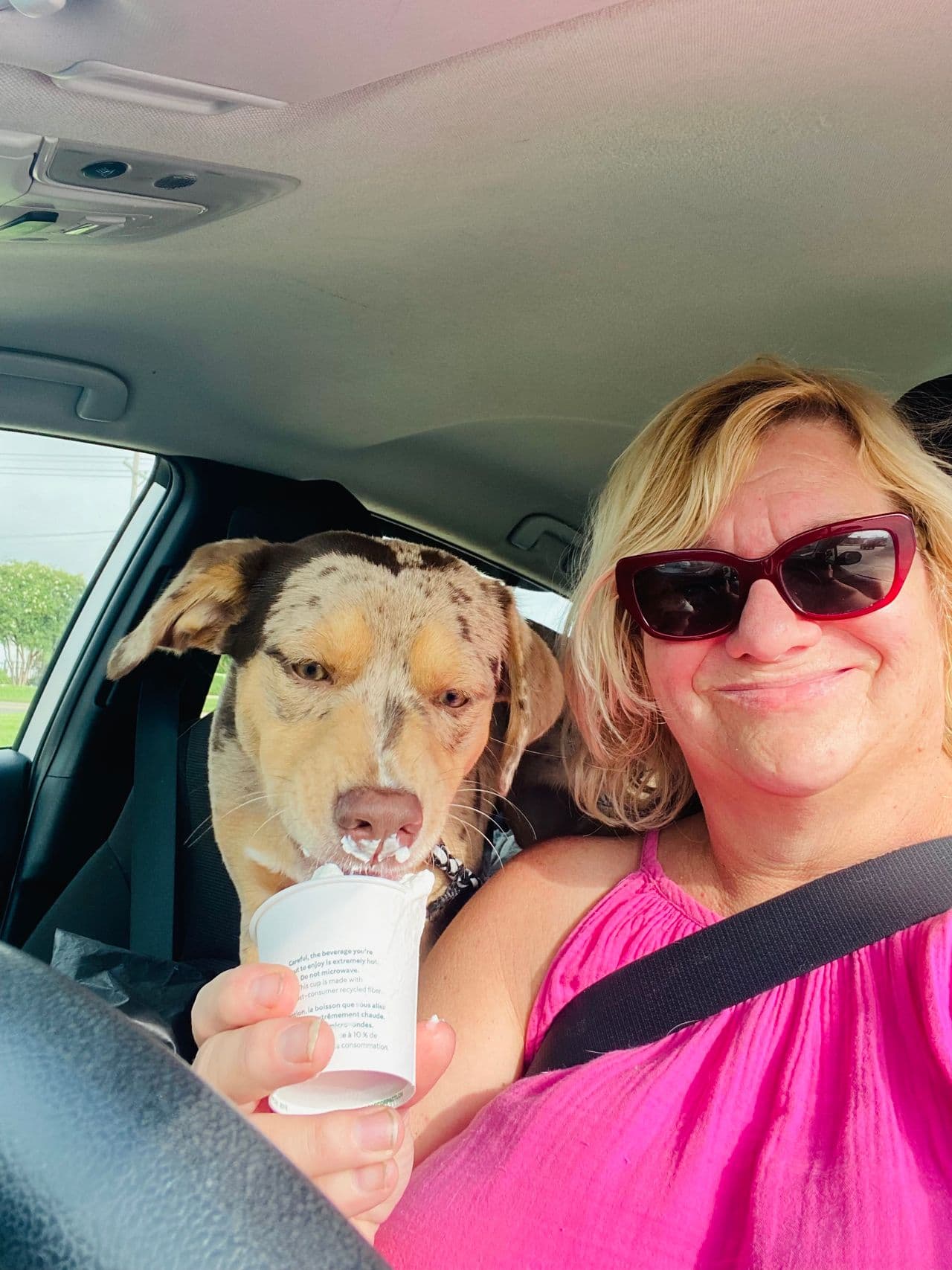 Pet travel photo 6