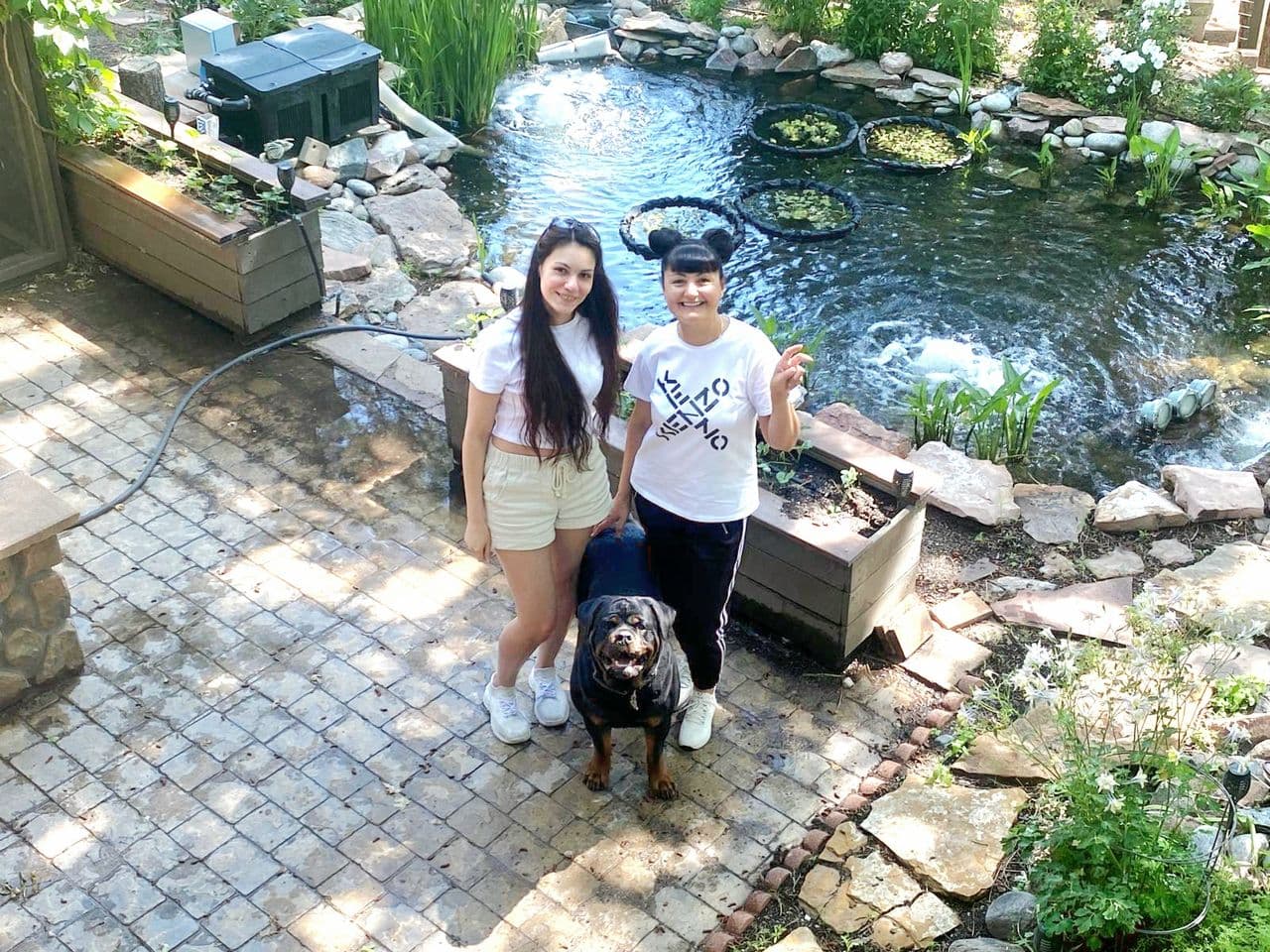 Pet travel photo 3