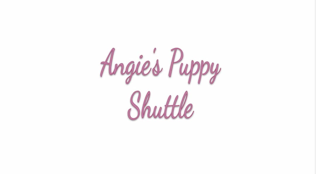 Angie'sPuppyShuttle