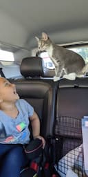 North Carolina reviews