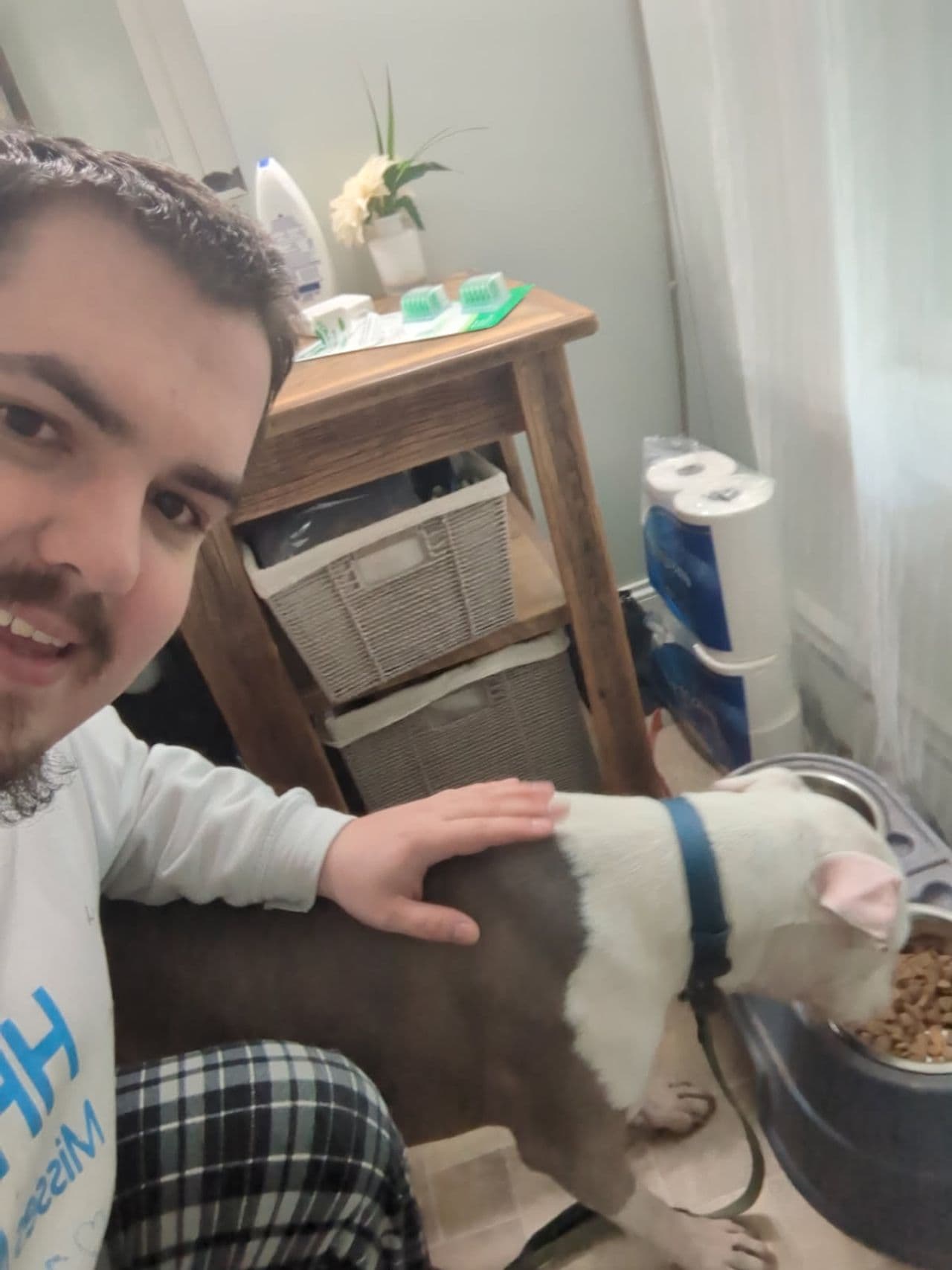 Pet travel photo 6