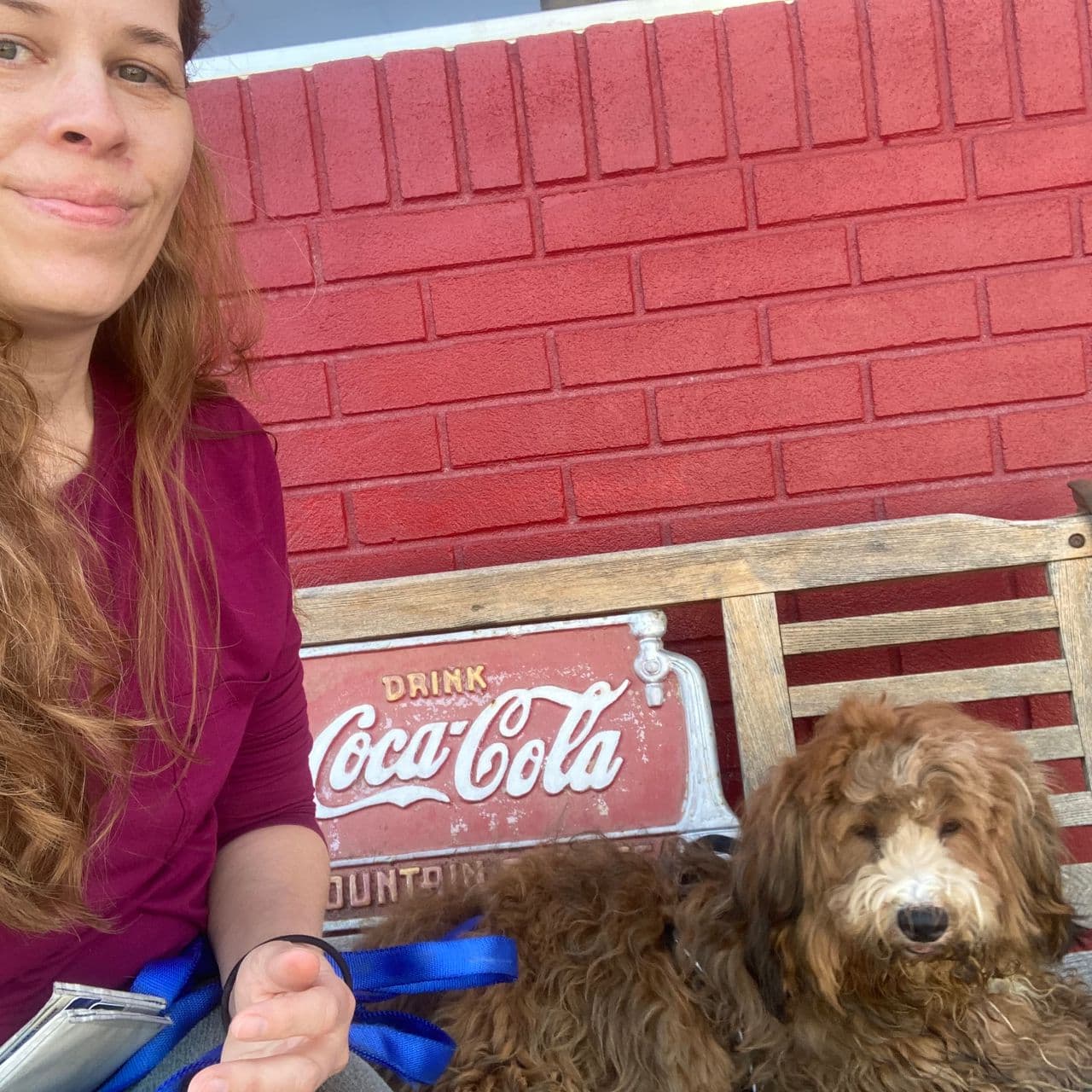 Pet travel photo 5
