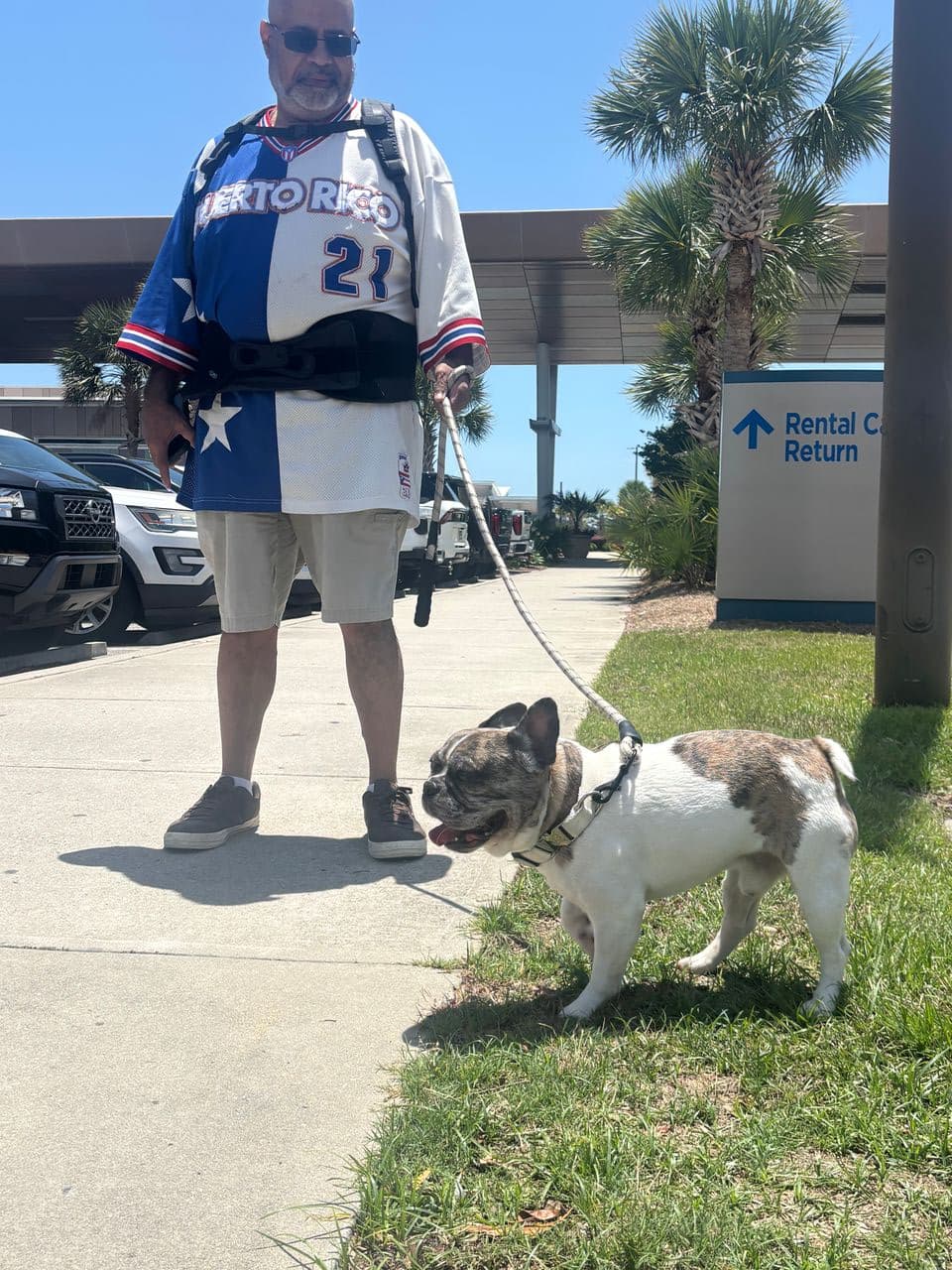 Pet travel photo 4