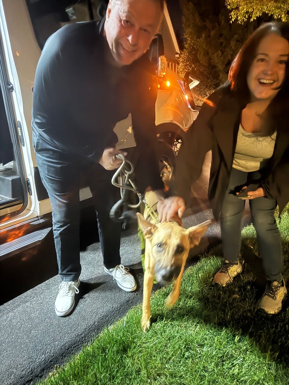 Pet travel photo 6