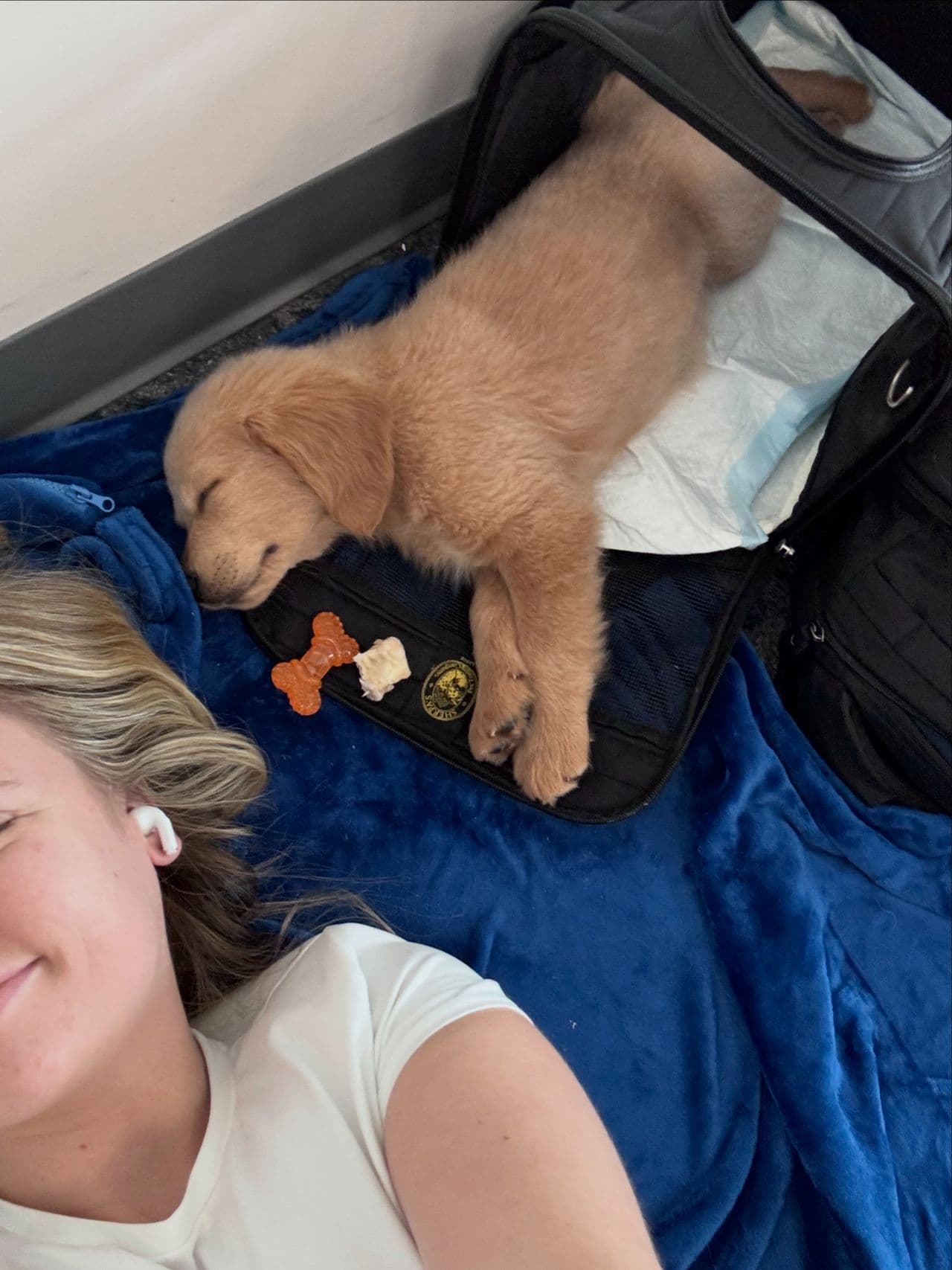 Pet travel photo 3