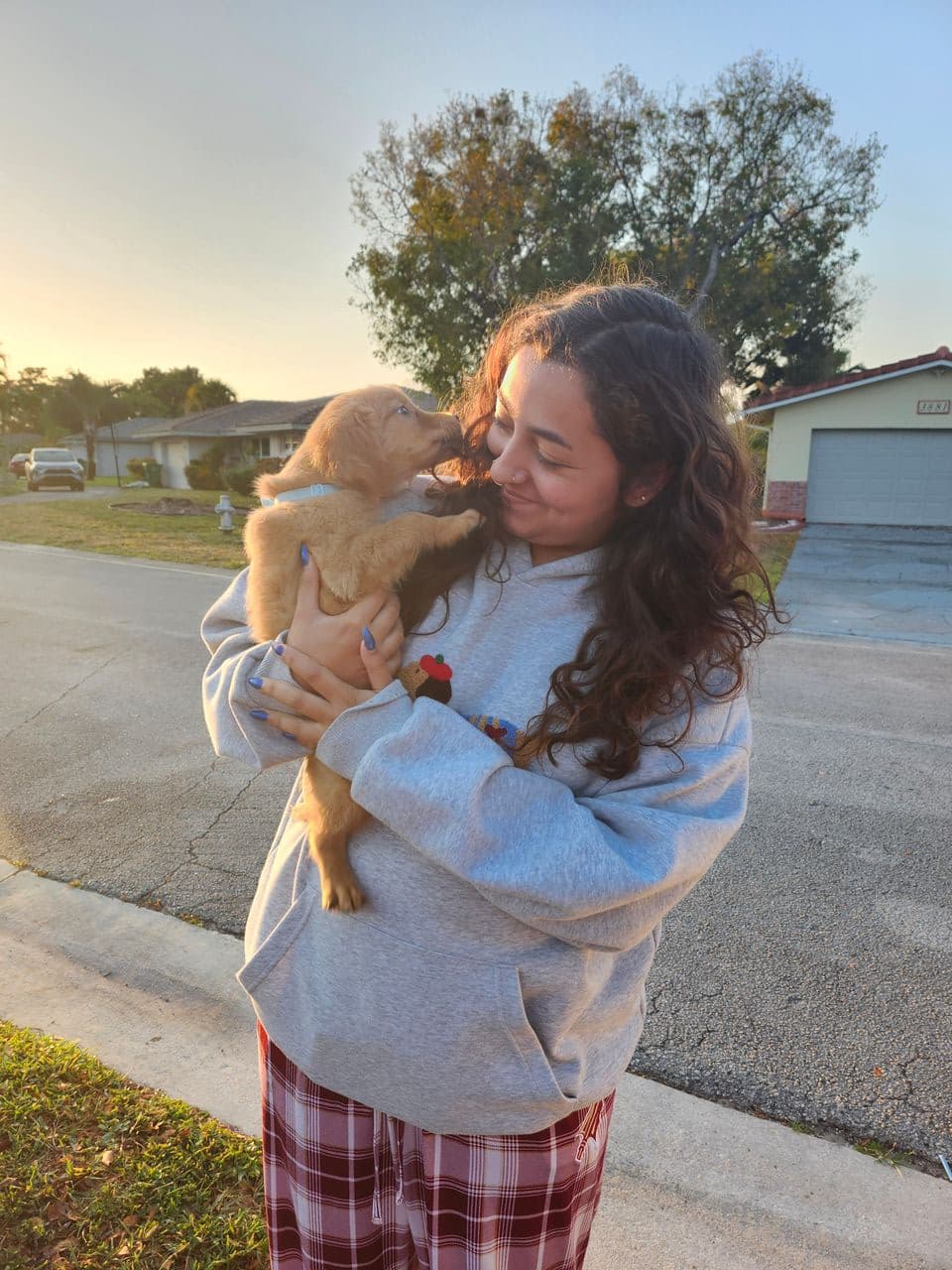 Pet travel photo 2