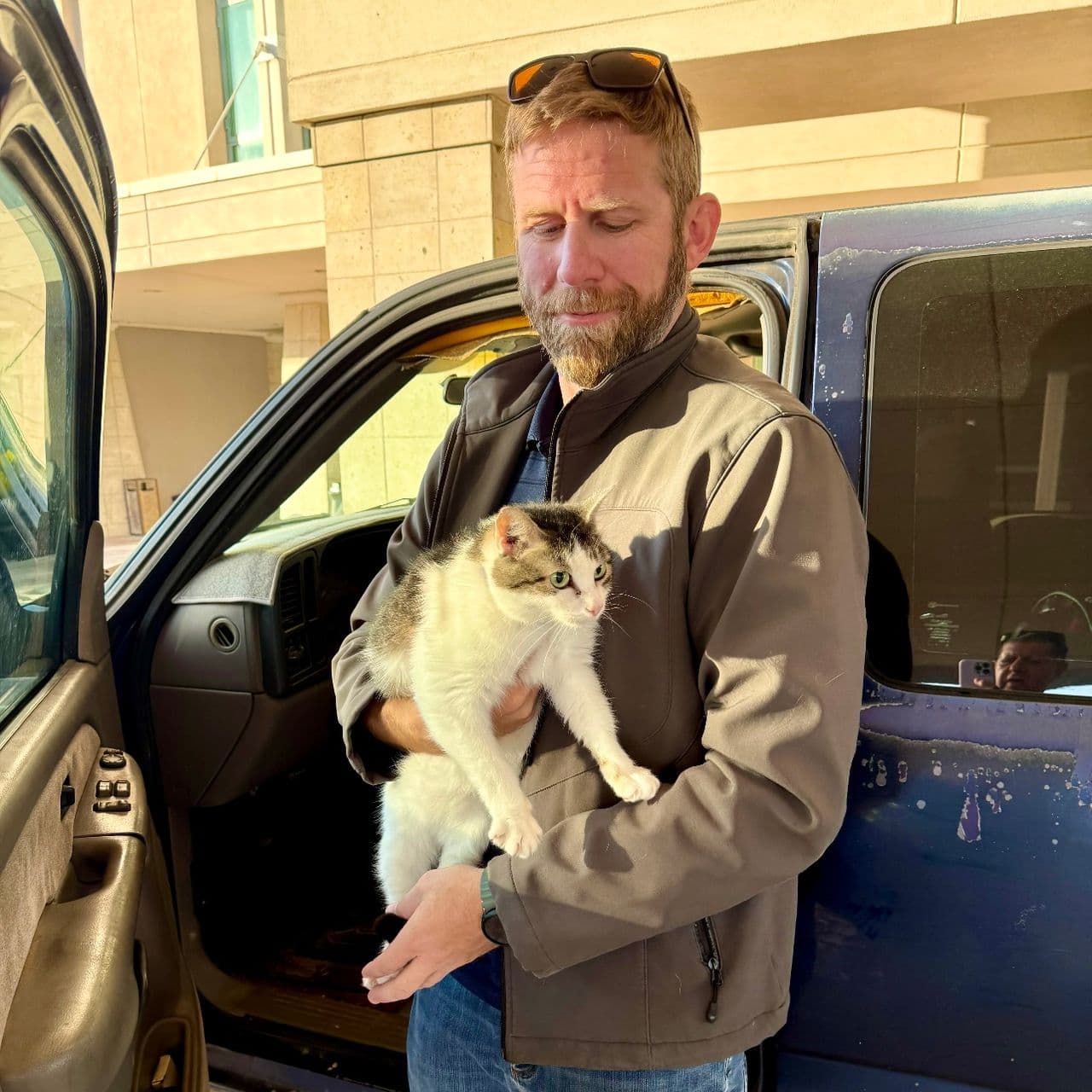 Pet travel photo 1