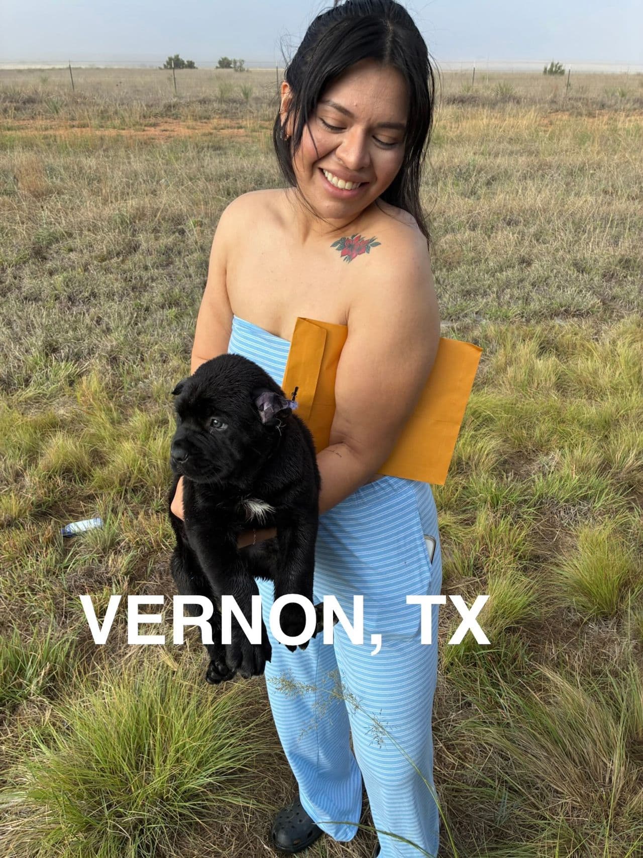 Pet travel photo 2