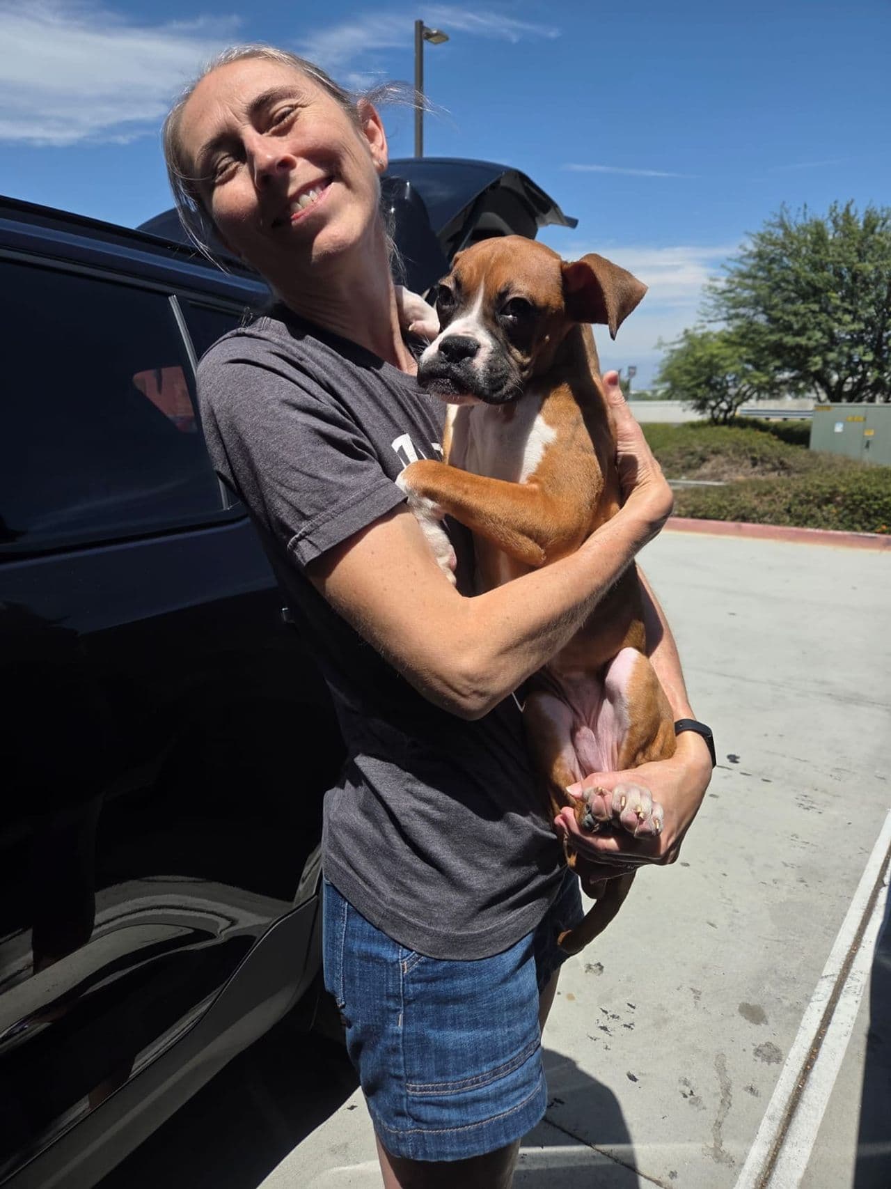Pet travel photo 6