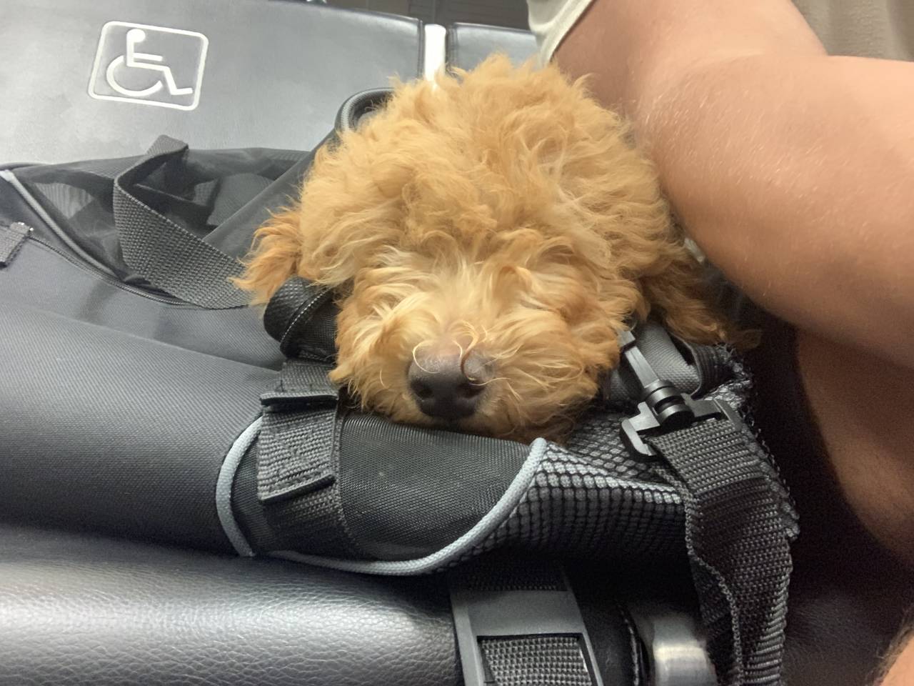 Palmetto, GA reviews