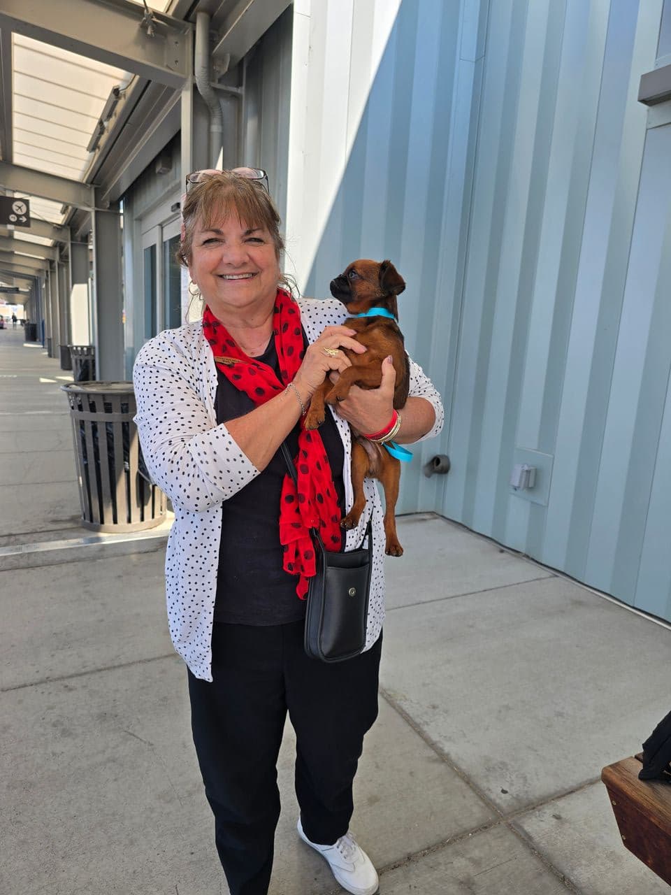 Pet travel photo 2
