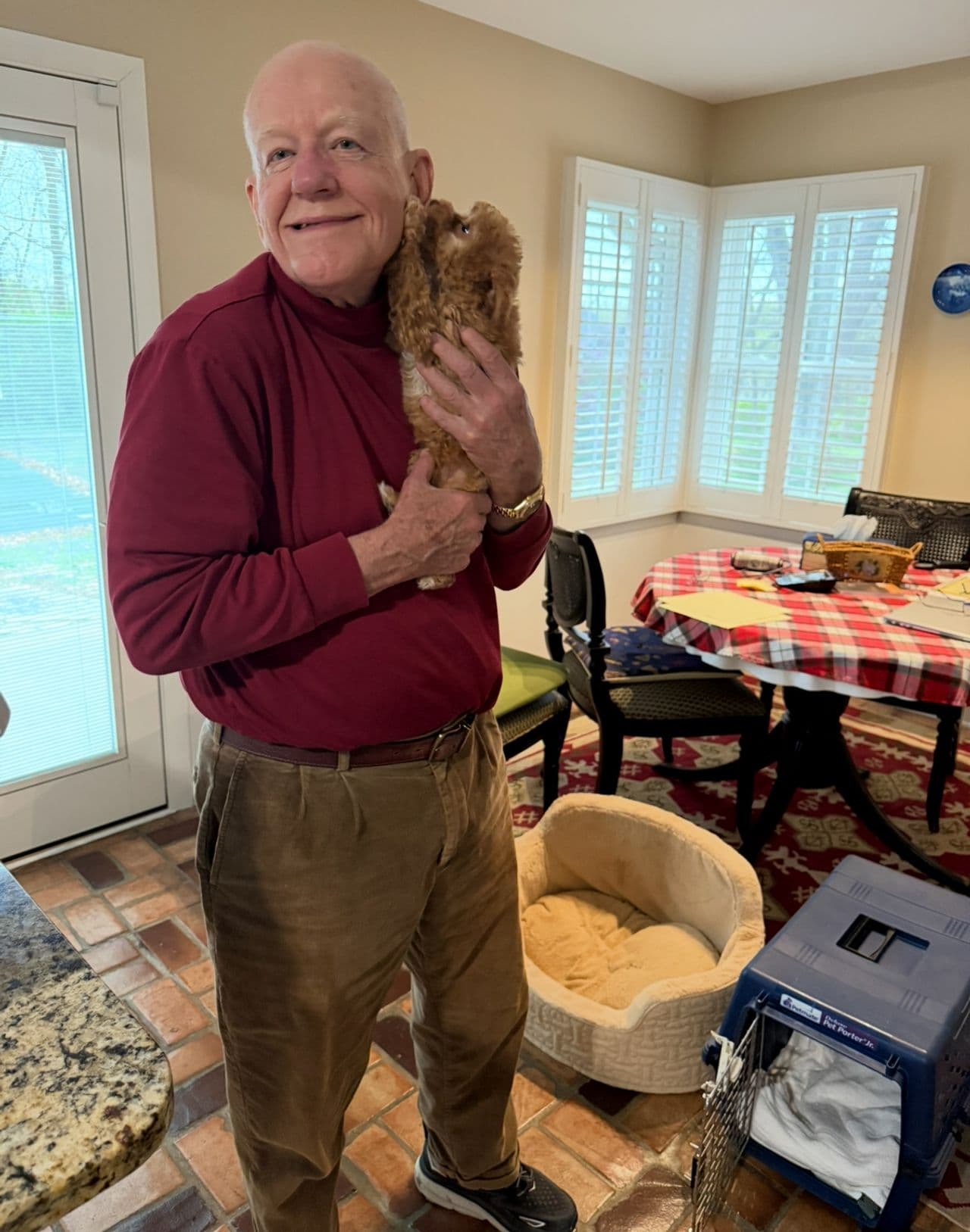 Pet travel photo 1