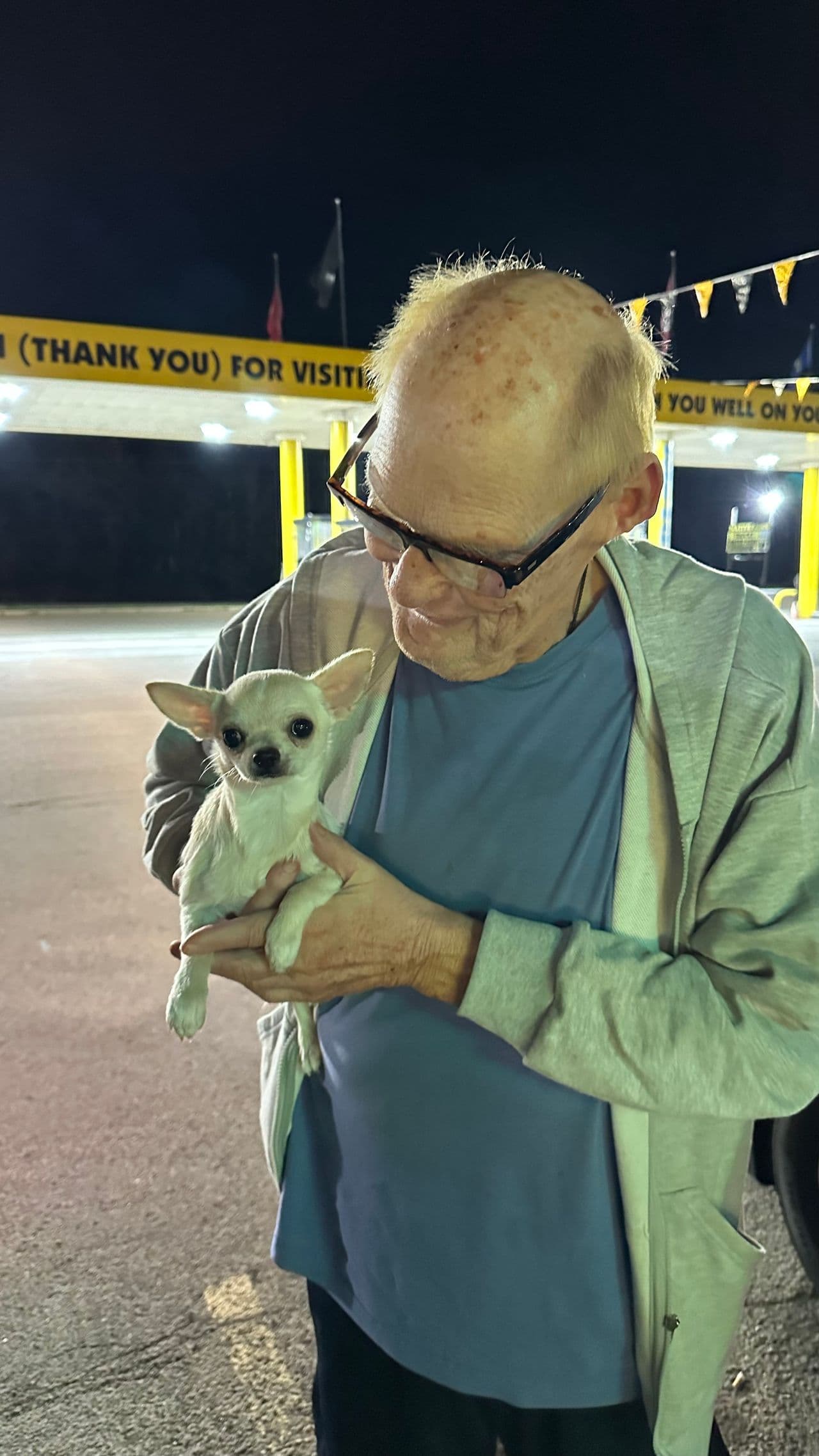 Pet travel photo 3