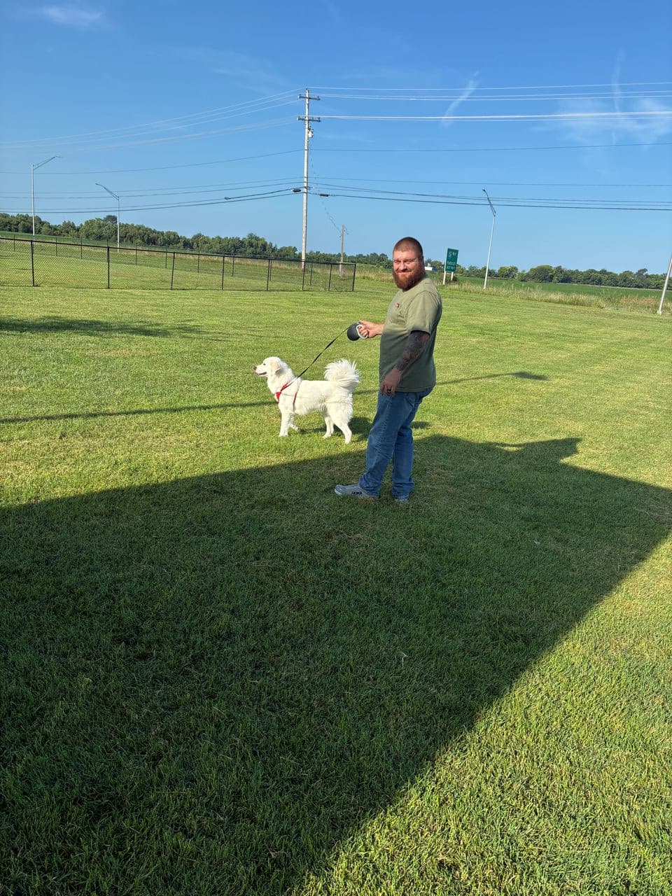 Pet travel photo 2