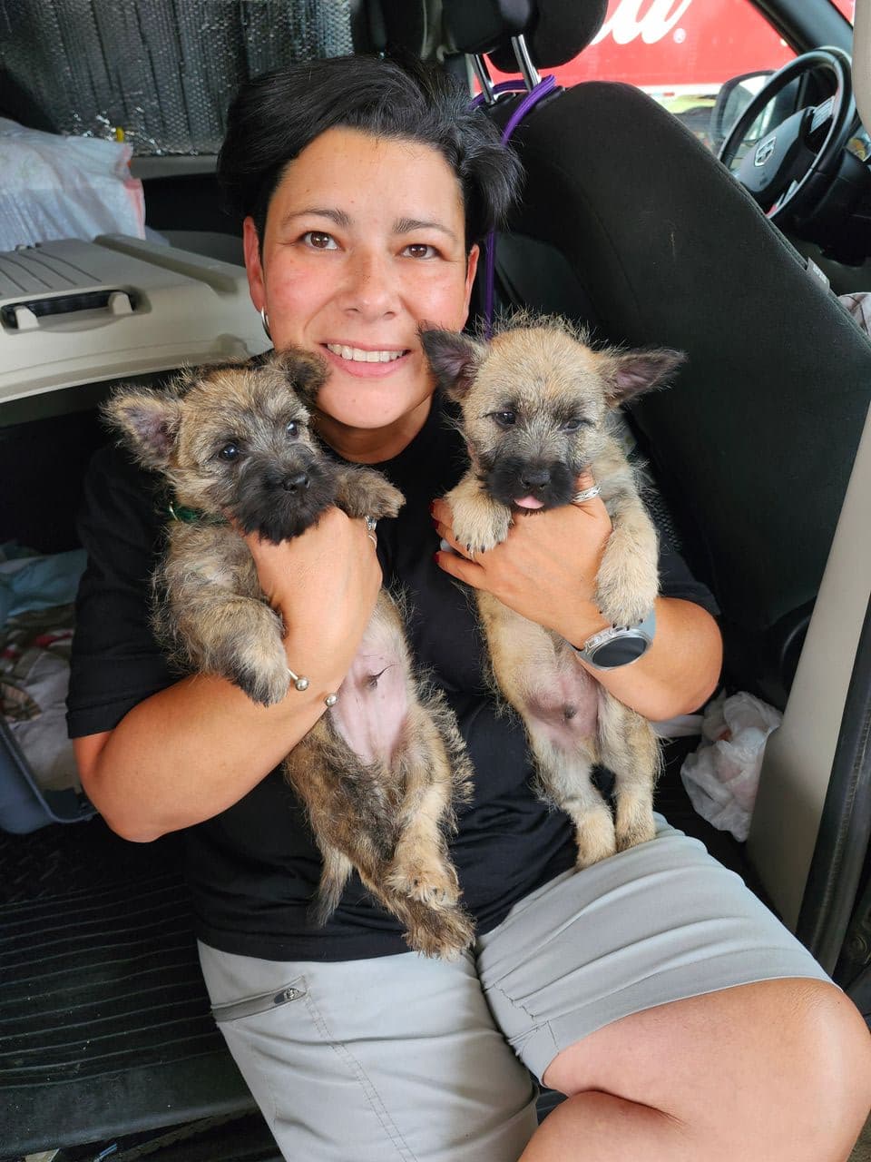 Pet travel photo 2